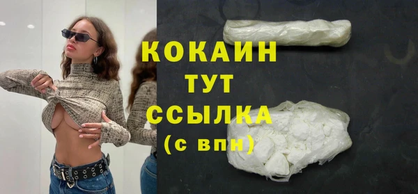 тгк Новозыбков