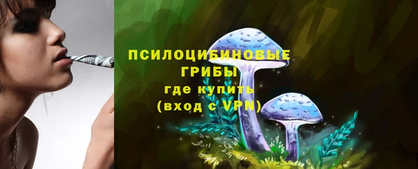 амфетамин Новодвинск