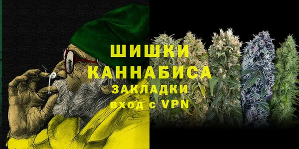 тгк Новозыбков