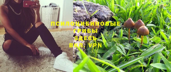 тгк Новозыбков