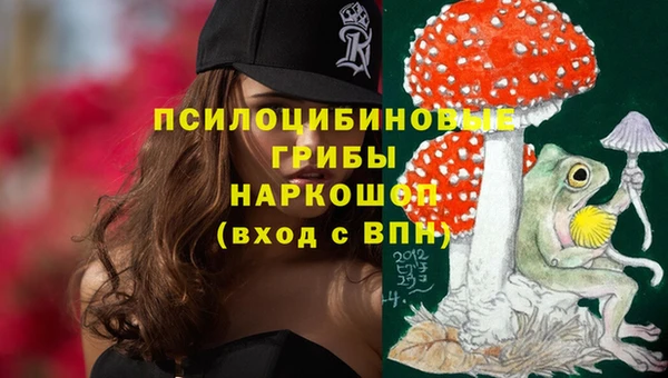 каннабис Новокубанск