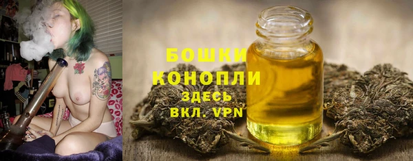 тгк Новозыбков
