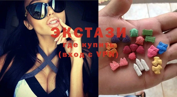 тгк Новозыбков