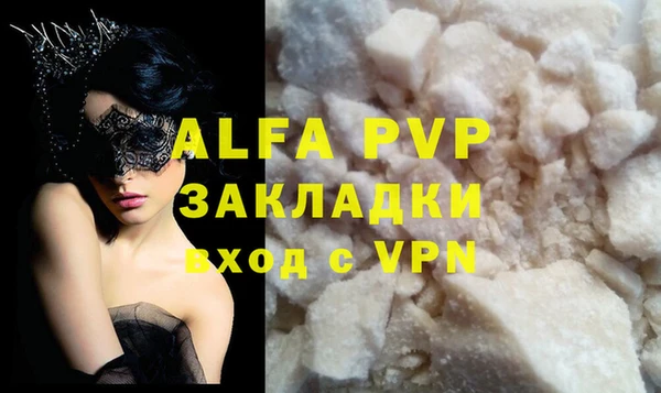 тгк Новозыбков