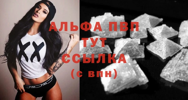 тгк Новозыбков