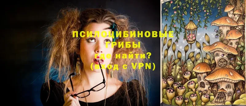 Галлюциногенные грибы Psilocybine cubensis  Опочка 